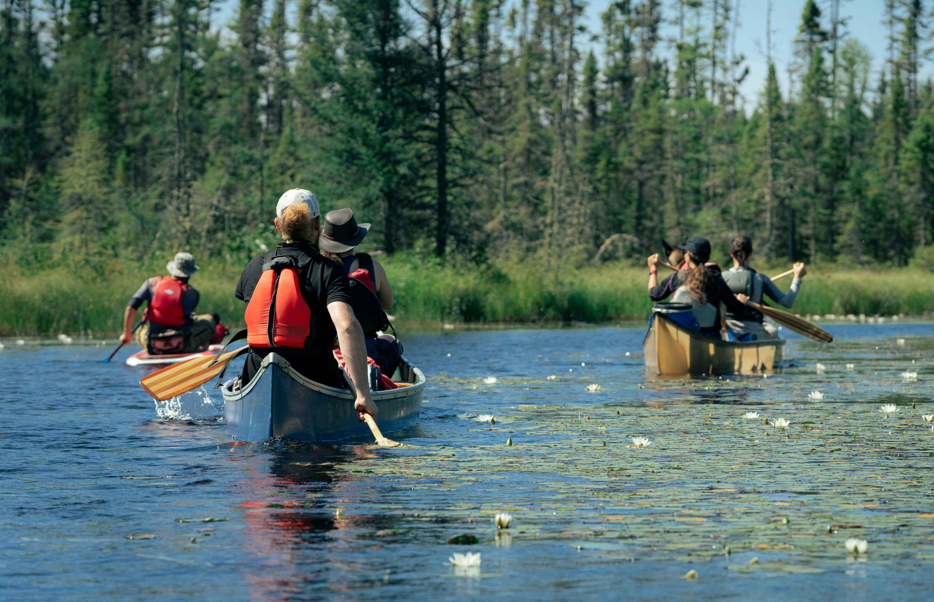 Group of canoers